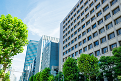 企業情報